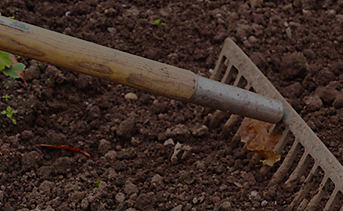 Préparation des potagers